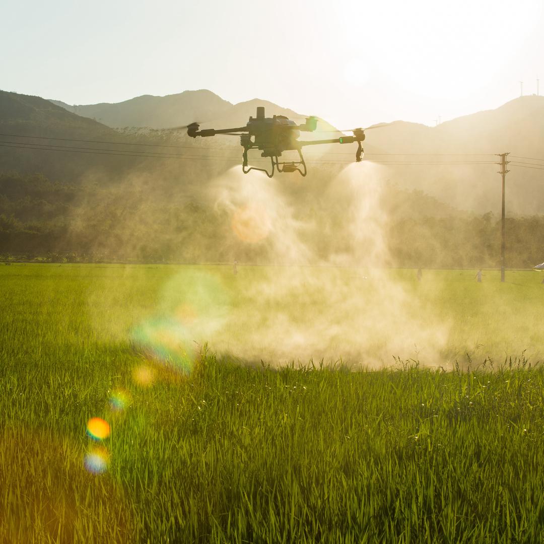 公安大疆谢圣远