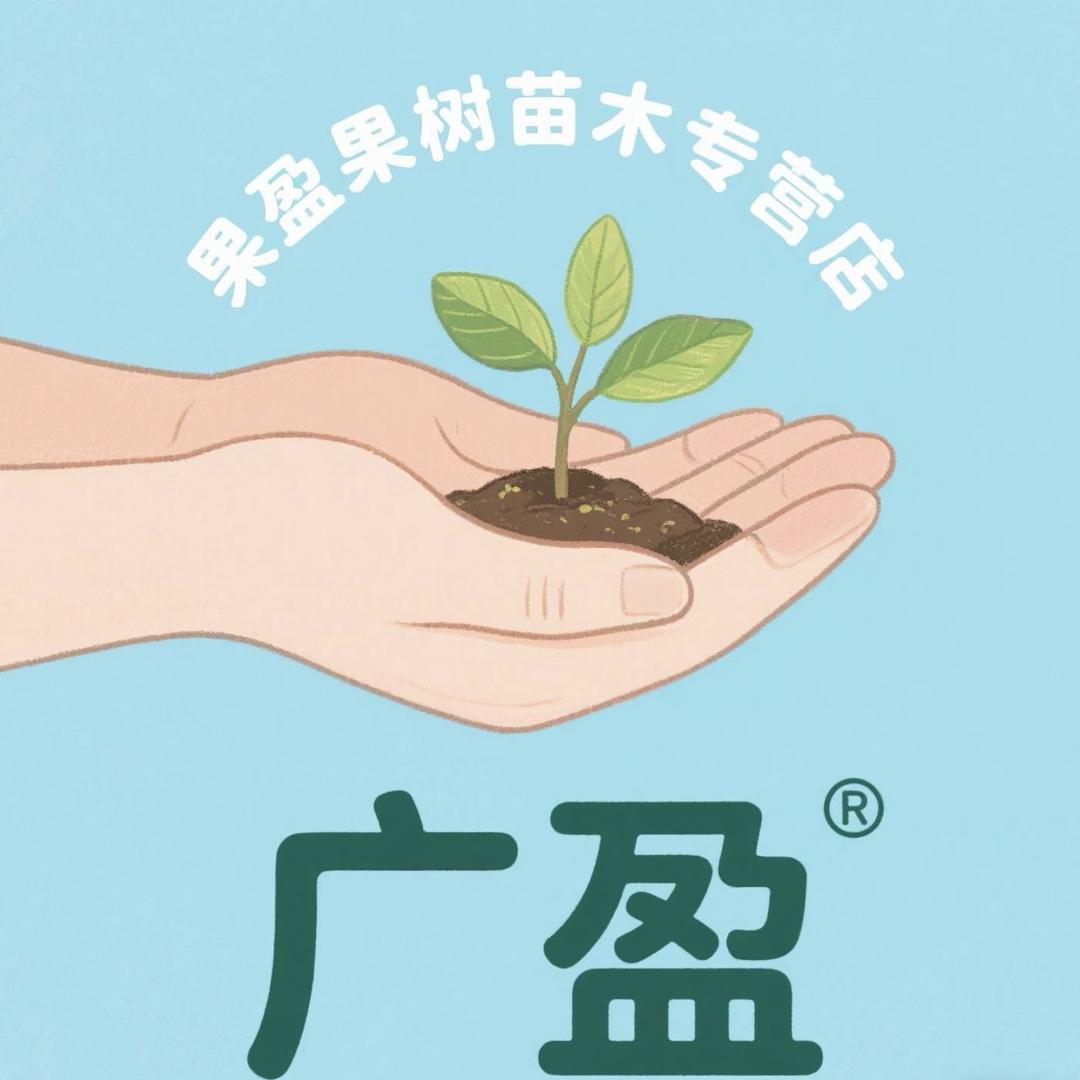 广盈果树苗木专营店