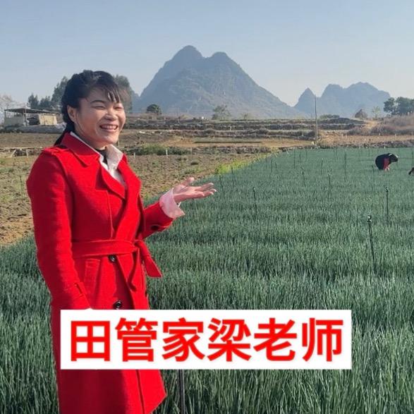 梁小田