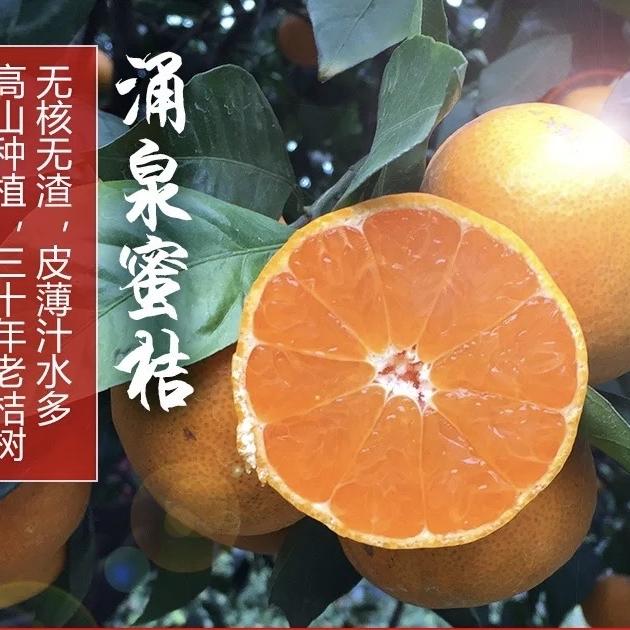 鲜果老王涌泉蜜桔