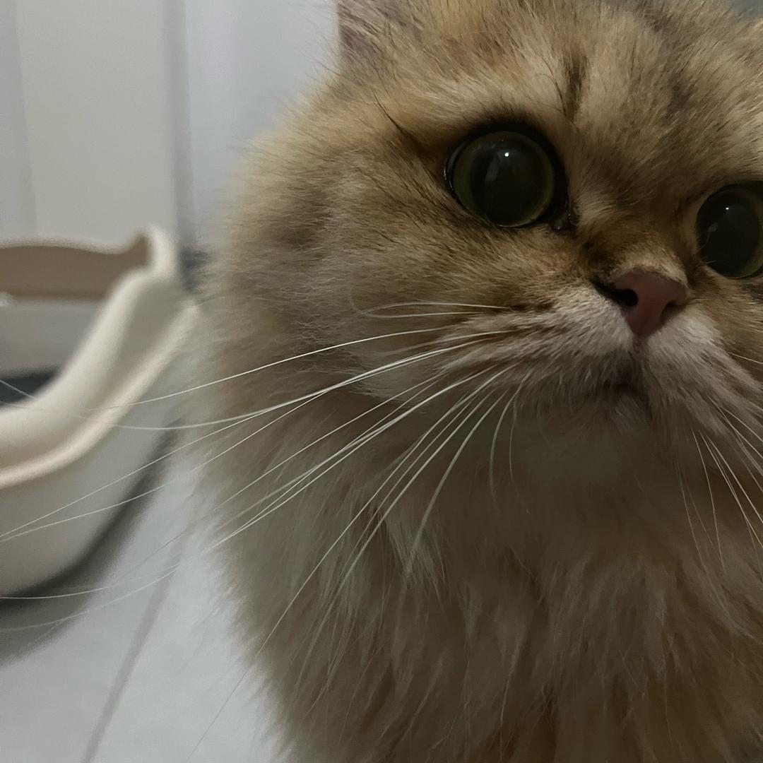 清醒