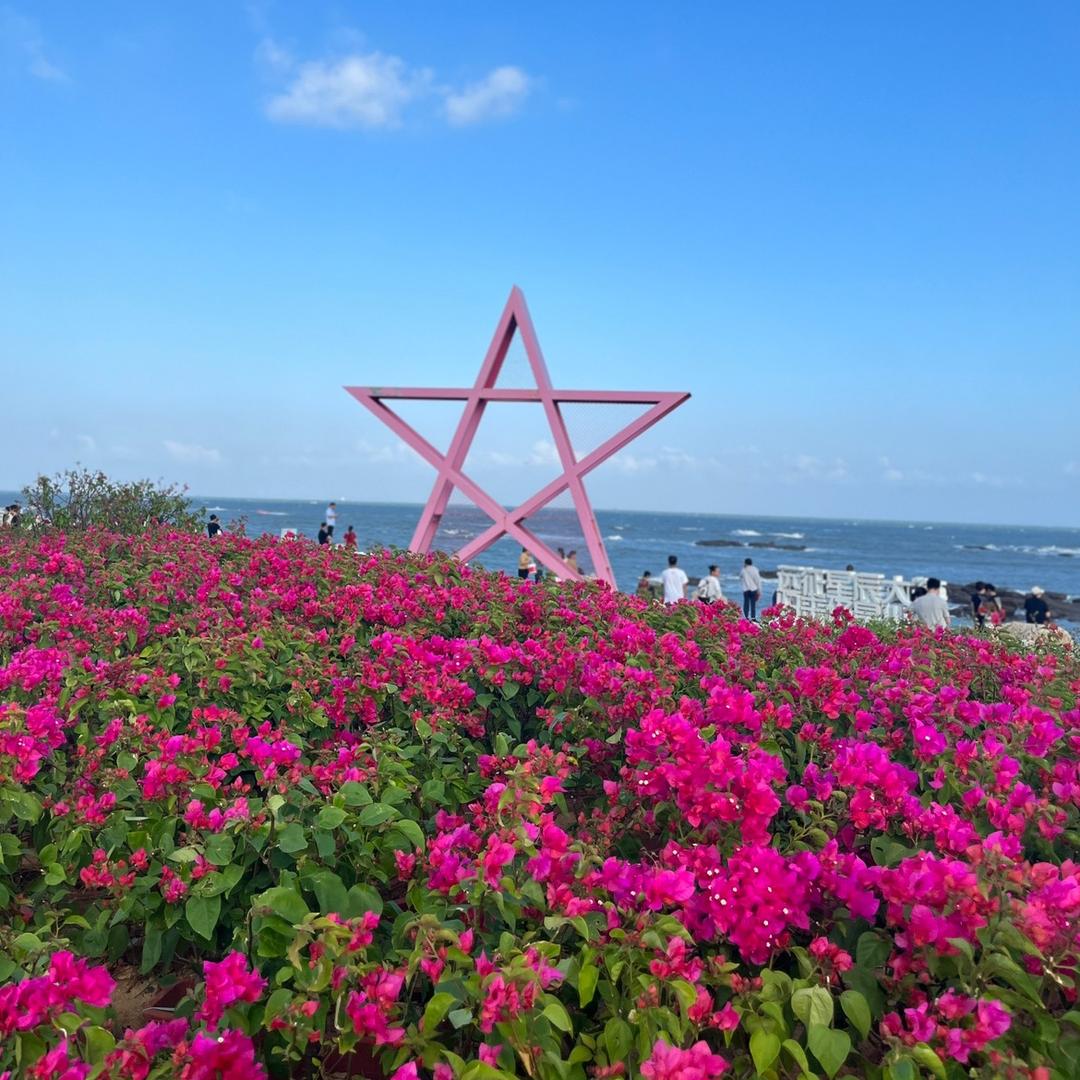余生❤️随心