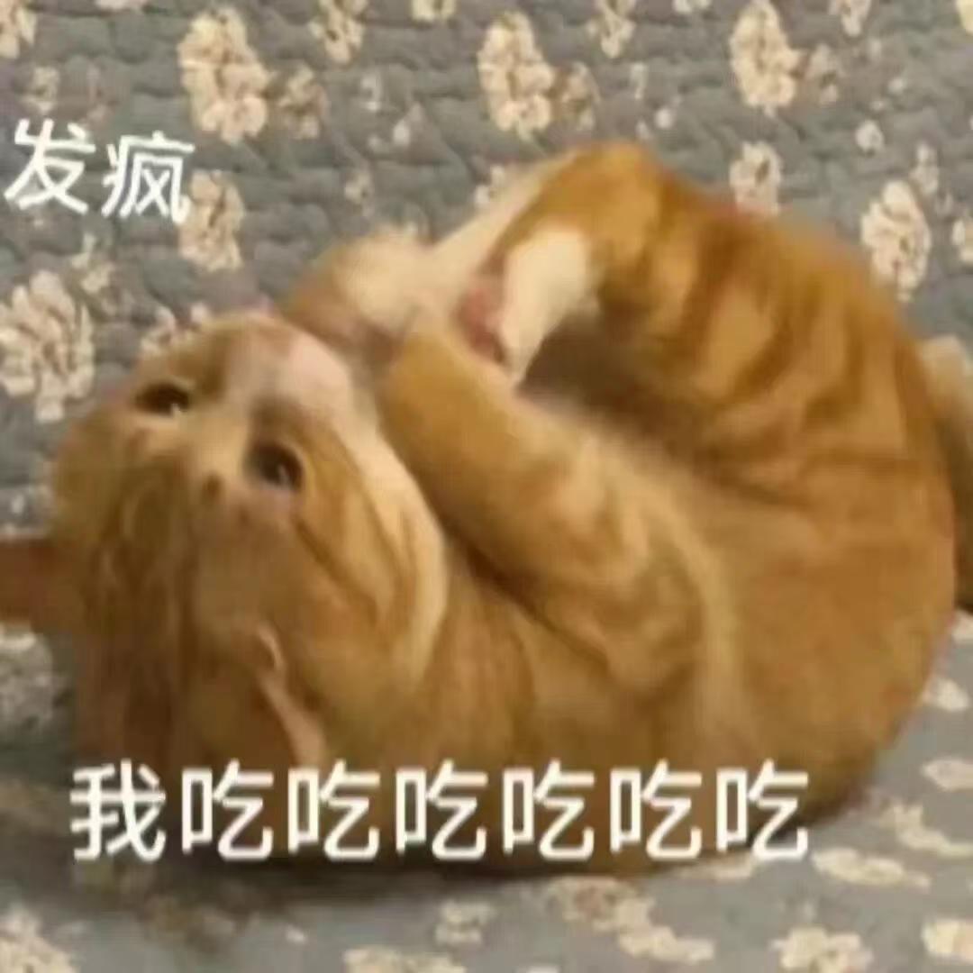 爱笑的薯条猫