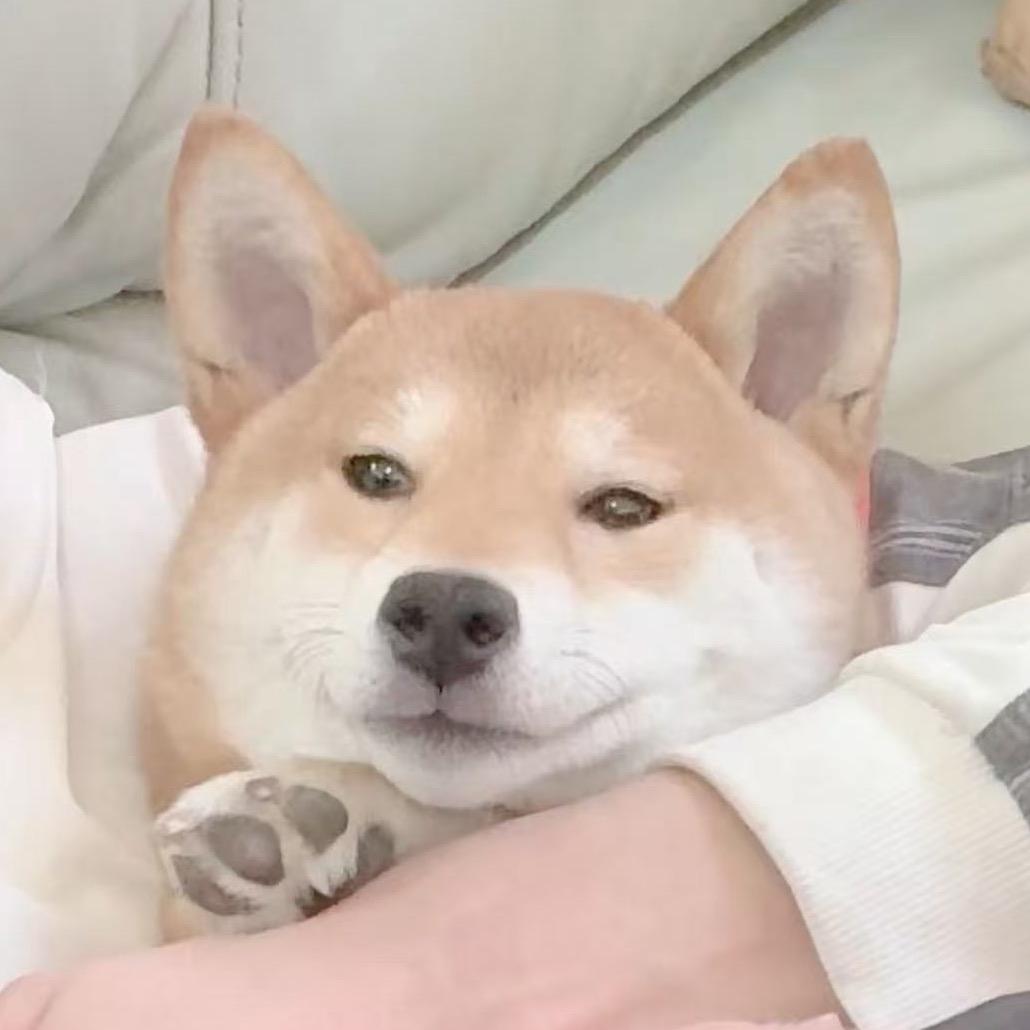 中秋节的中秋🥮