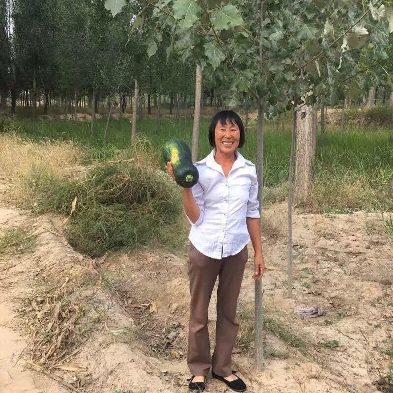 曹阿姨