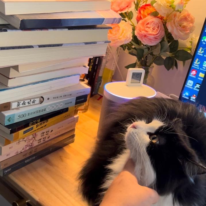 花生读书（书在橱窗）