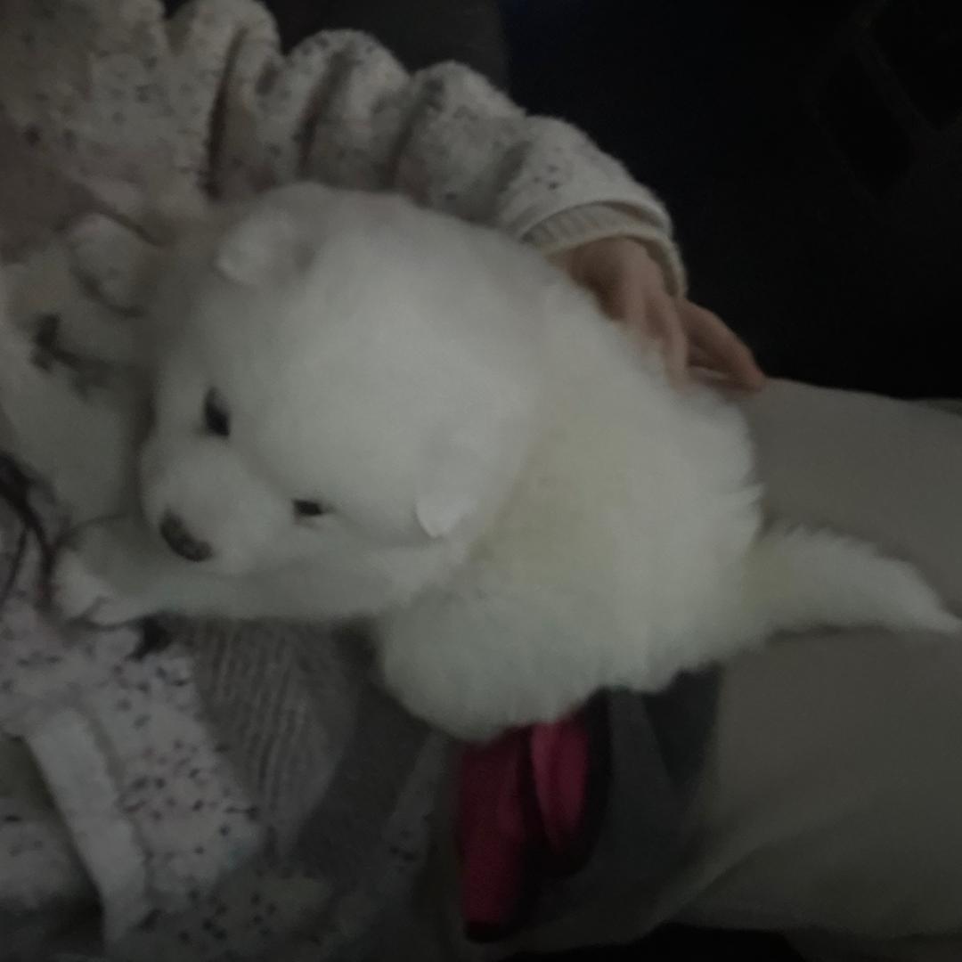 没有人比我更疯