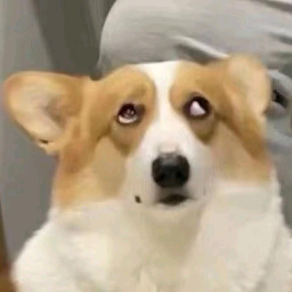 能用手指绝不用纸✌🏻