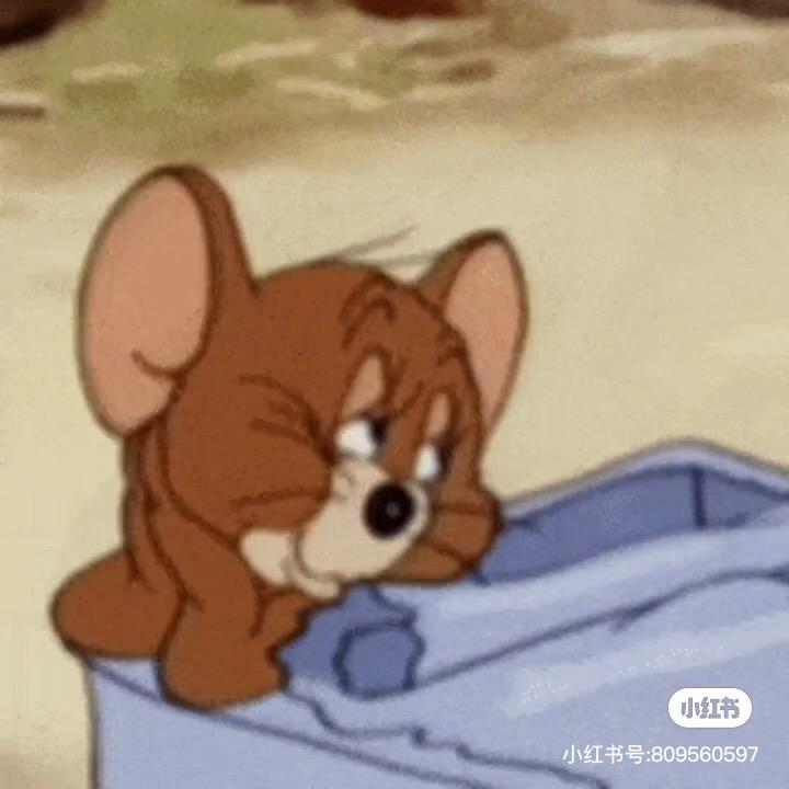 扑腾的狗