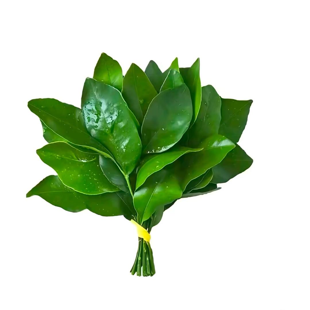 李情情