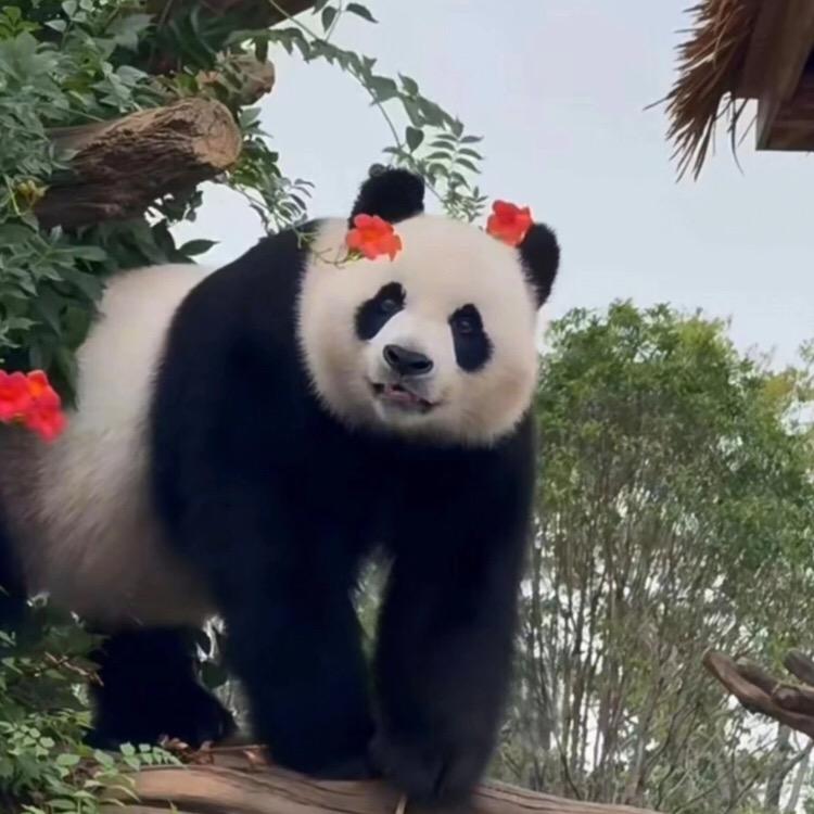 悠悠商铺