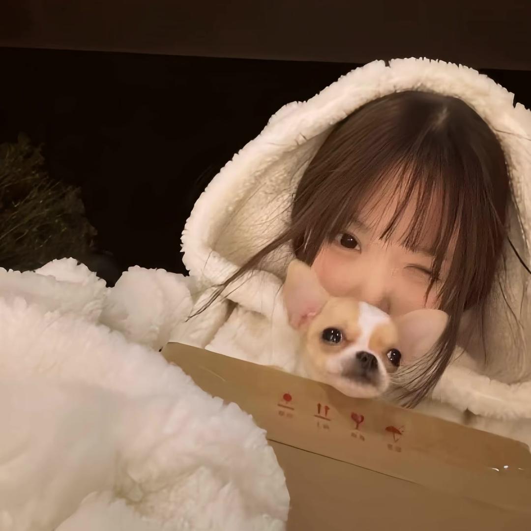 叙呆猫