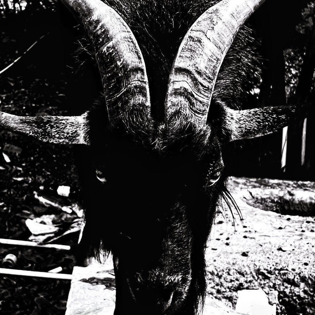 阿达爬宠宠物用品店