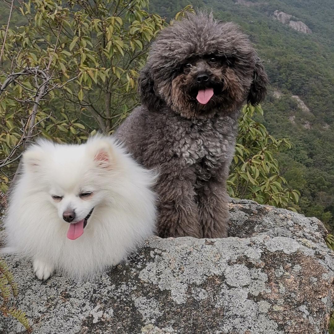 এ້໌ᮩ᭙ꪮᖇꪶᦔ💫飞姐