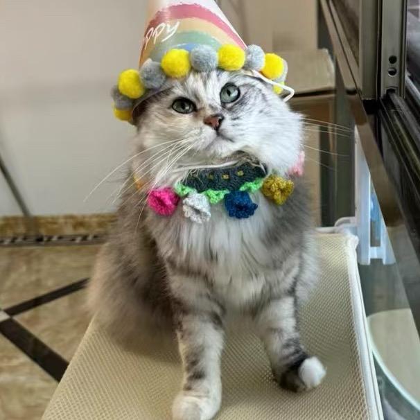 波妞是只长毛怪（只说大实话版）