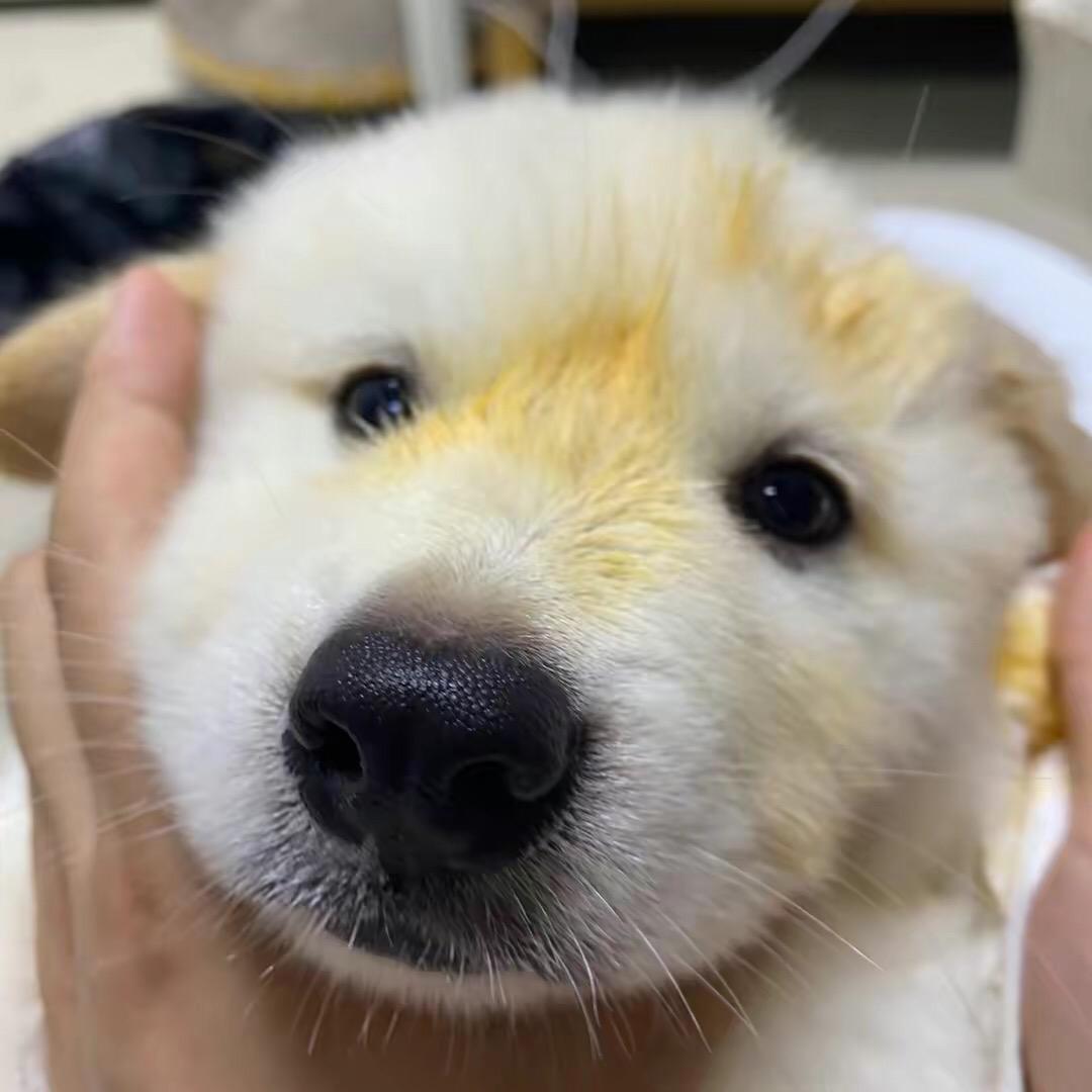 向阳而生