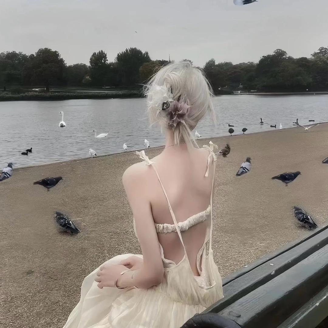 子浅🪞