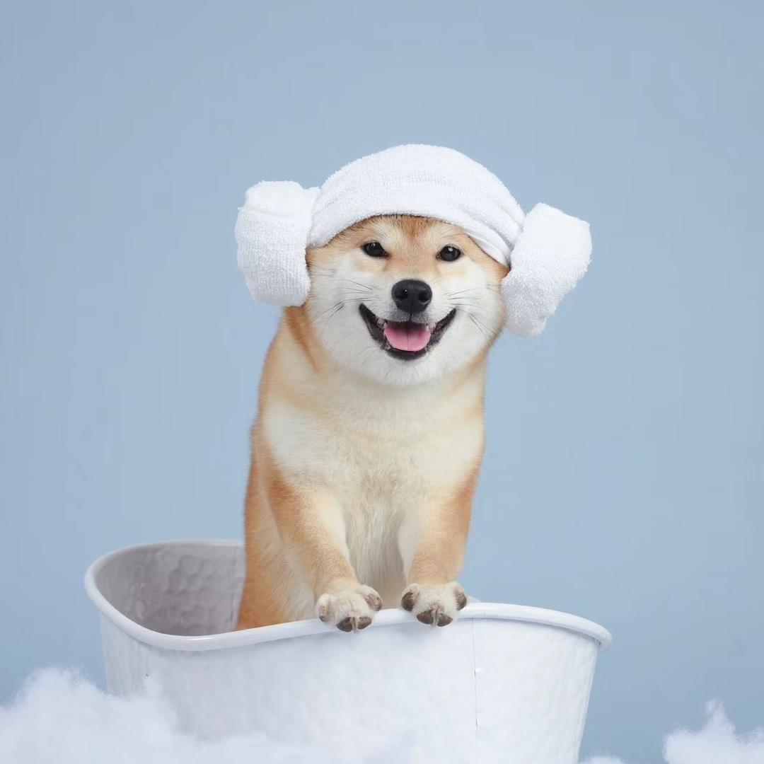 周周萌宠小店明柴庄