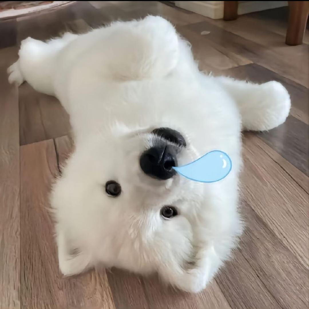 泉溪