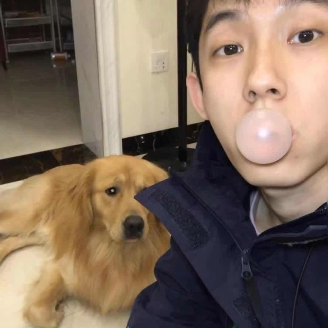 叶羽毛