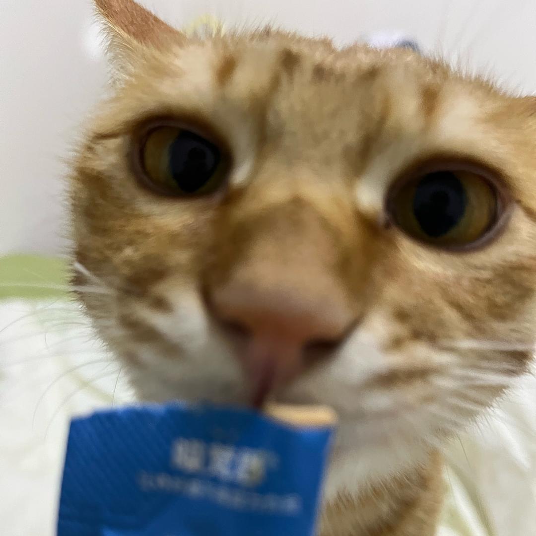 季夏🐑⋆͛ᵞᵐ