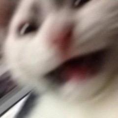 老豆