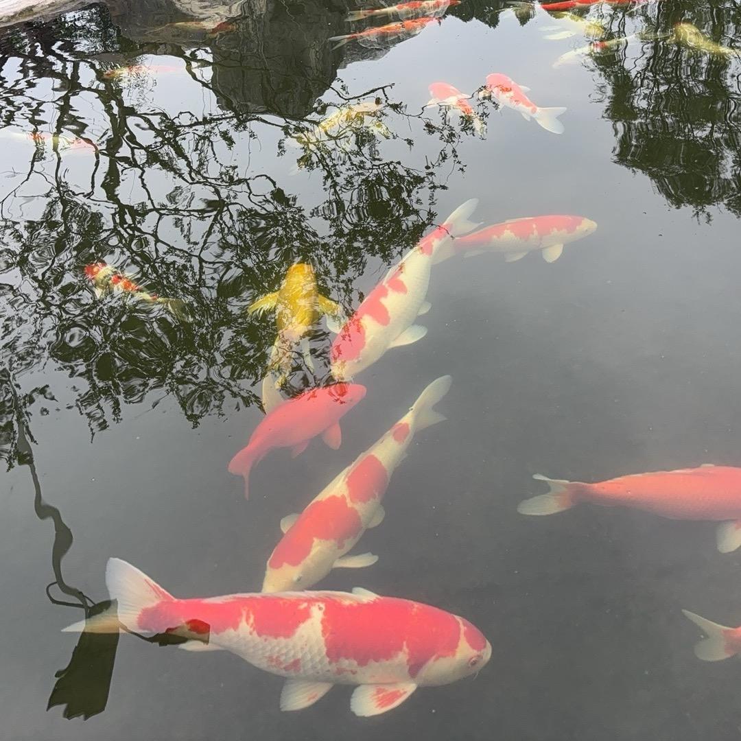 方得始终