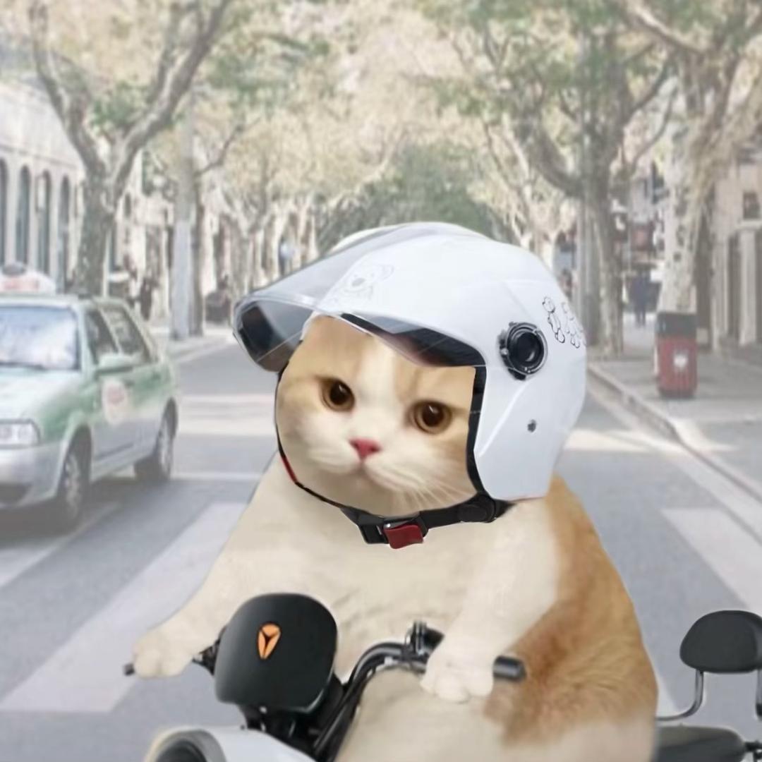 赚钱吃蟹黄堡