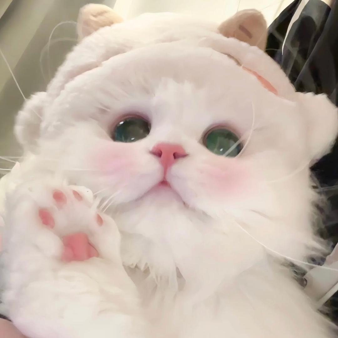 CHEERY_蒋
