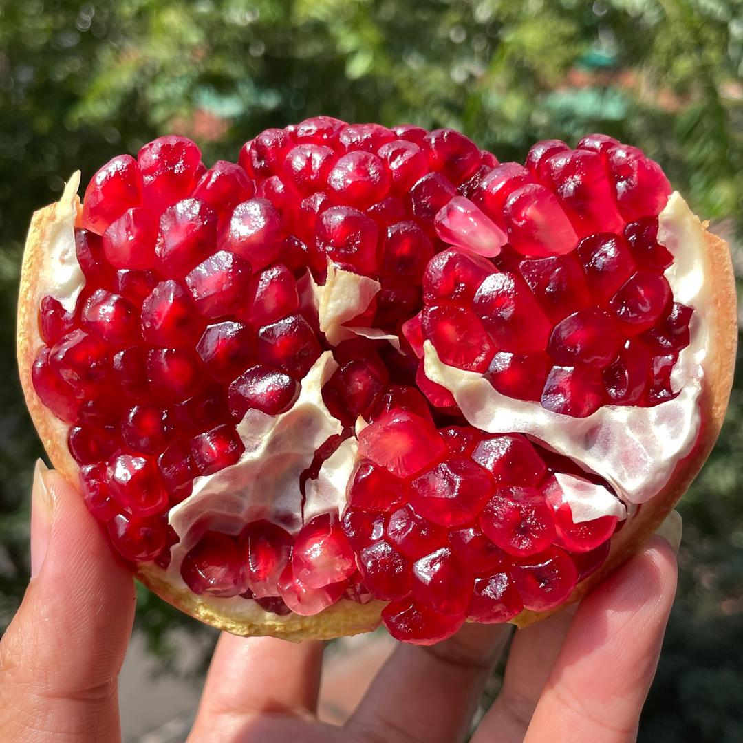 希沅果果（石榴）