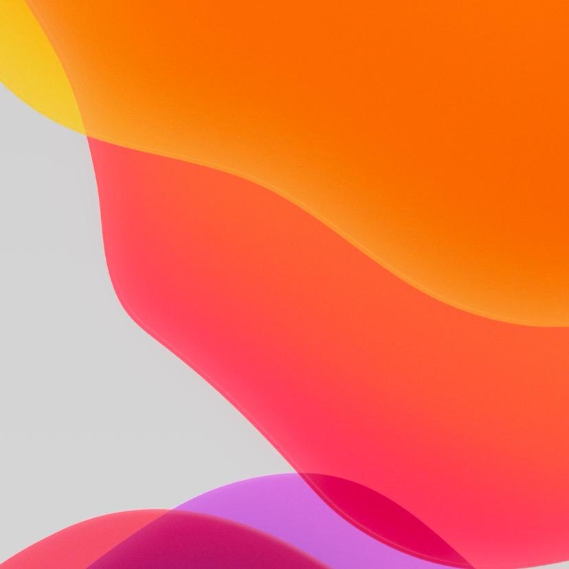 二五一九