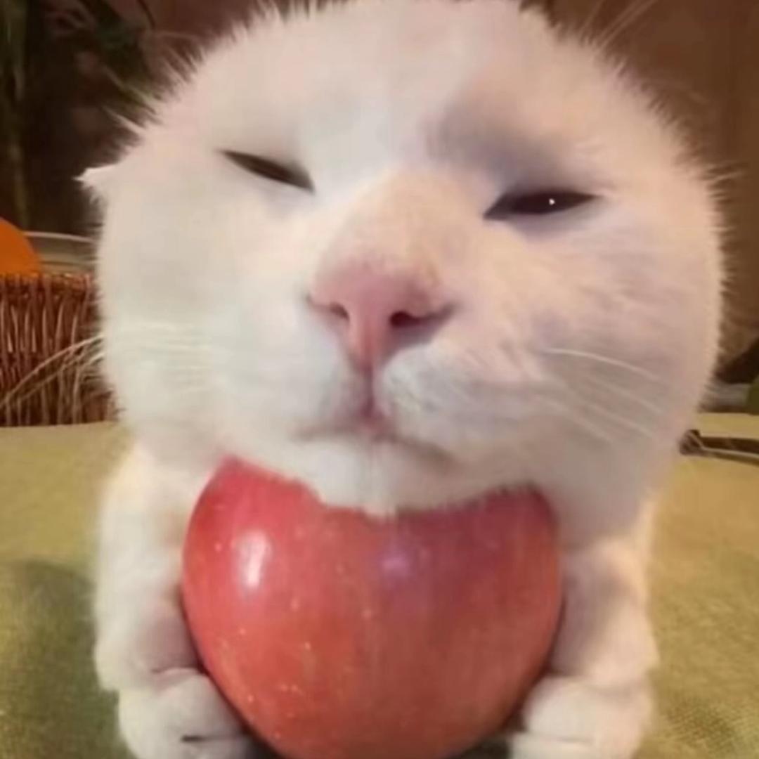 一千六