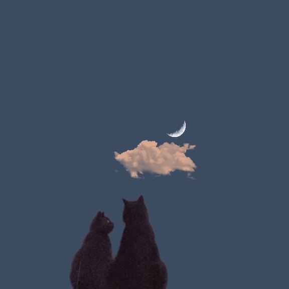 𝑴𝒓. 𝑱𝒊.🌙