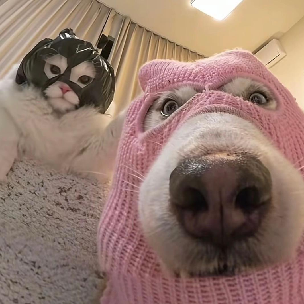 烘培面包收割机