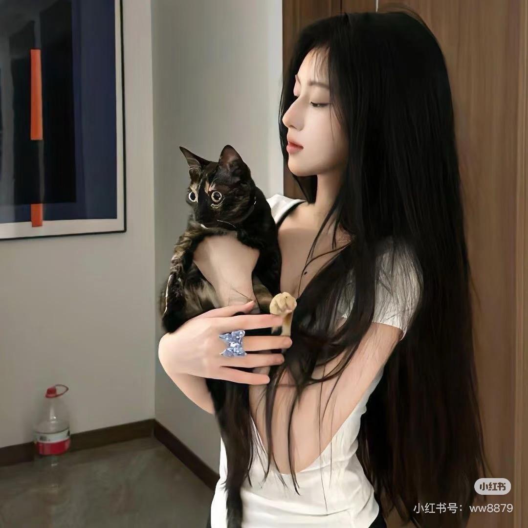 Q酱