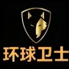 环球卫视国际保镖公司