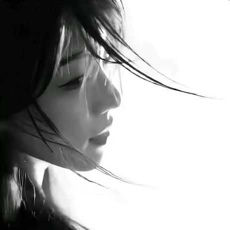 紡  諌  綪.