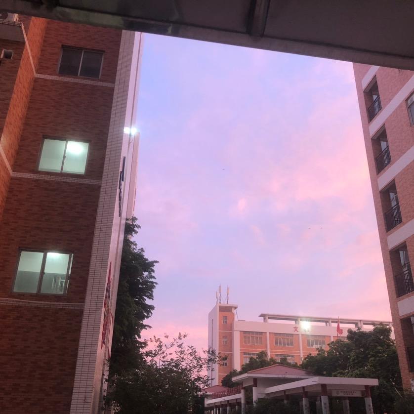 晟锋教育服务号