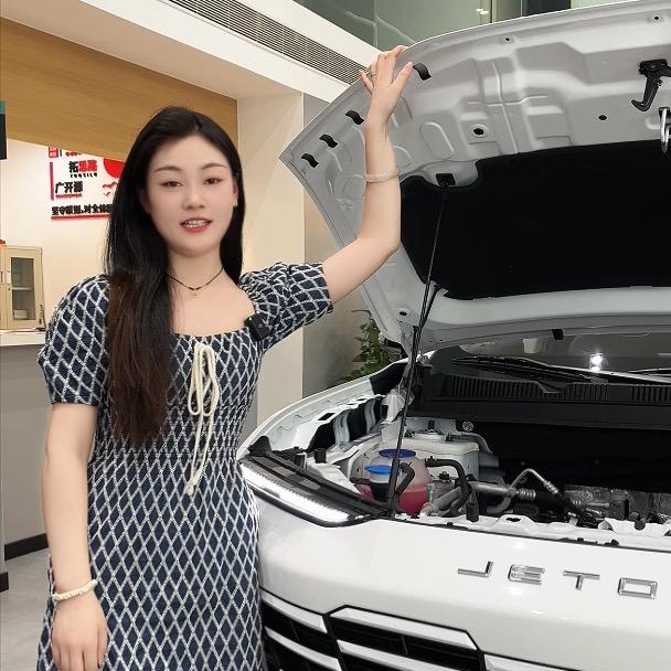 河南鼎铭汽车（琳琳）