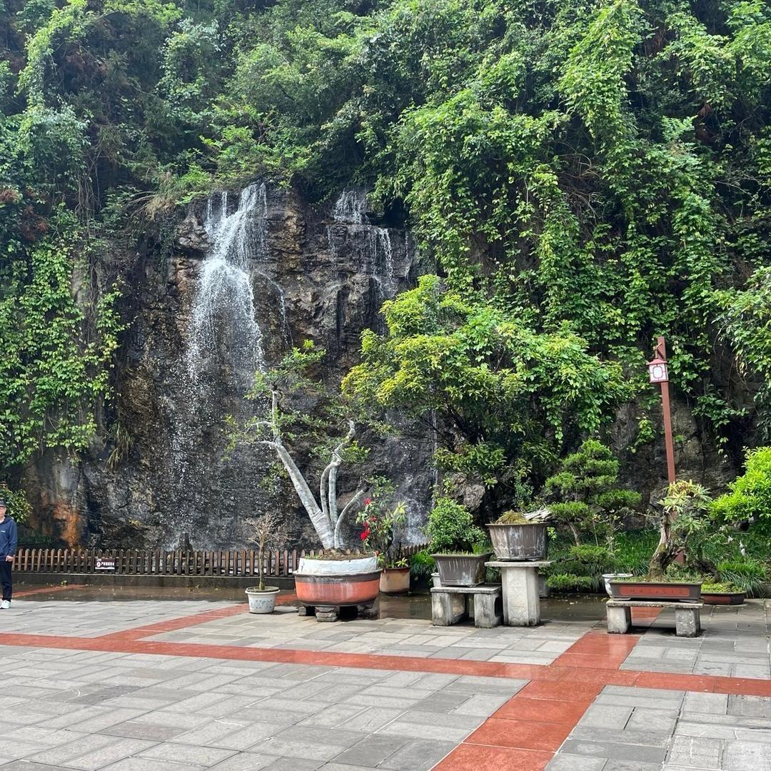 1941268455 顺其自然