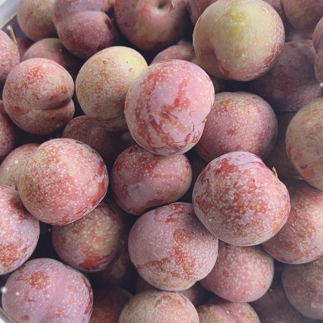 四季鲜品严选铺