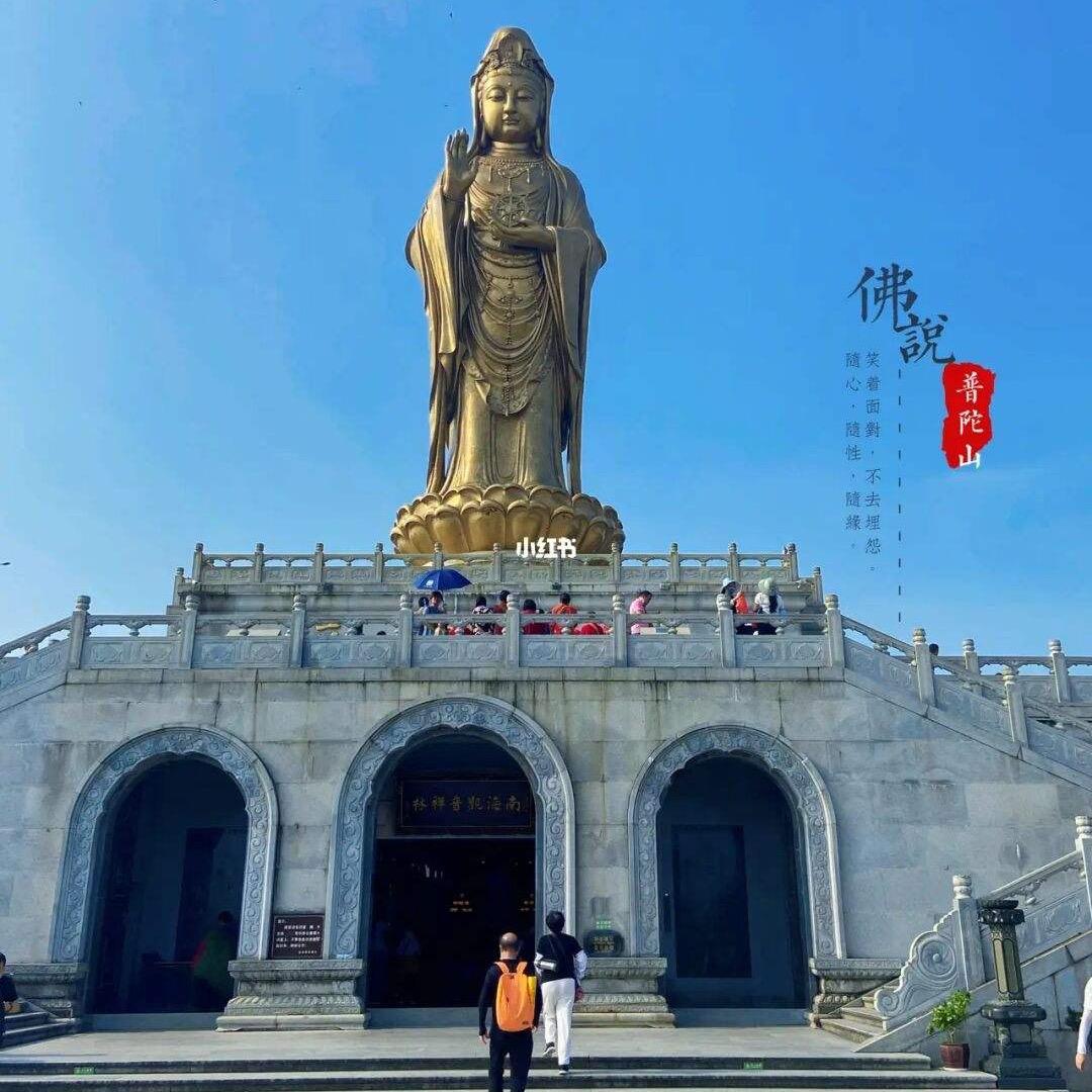 大屯、杨旭