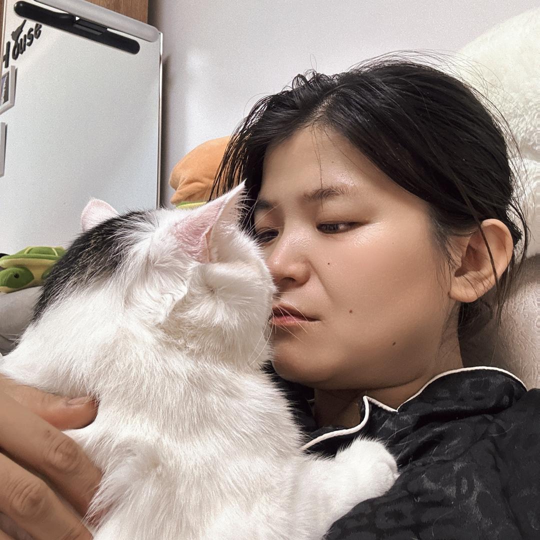 汤圆与面条  流浪猫找家
