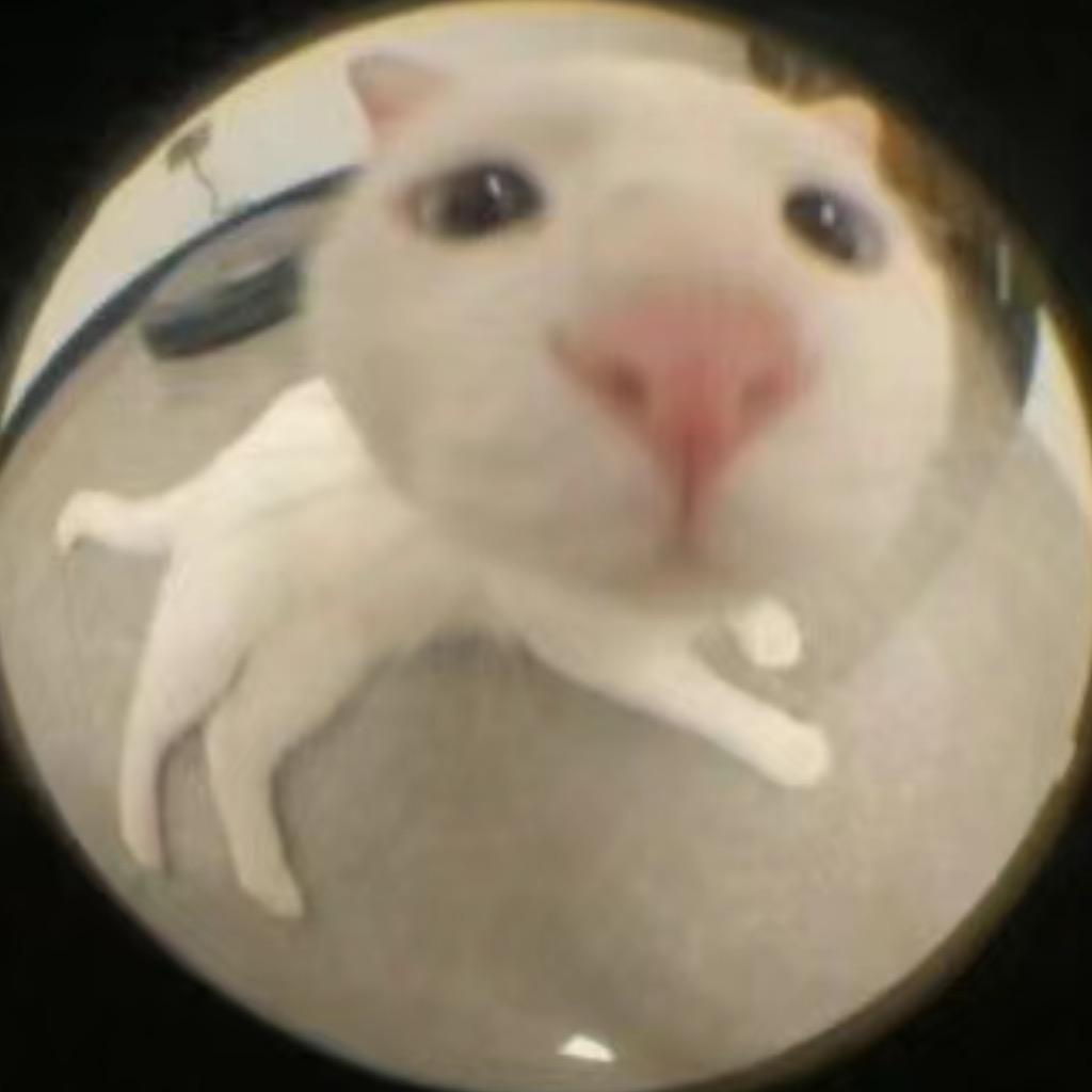 鱼松