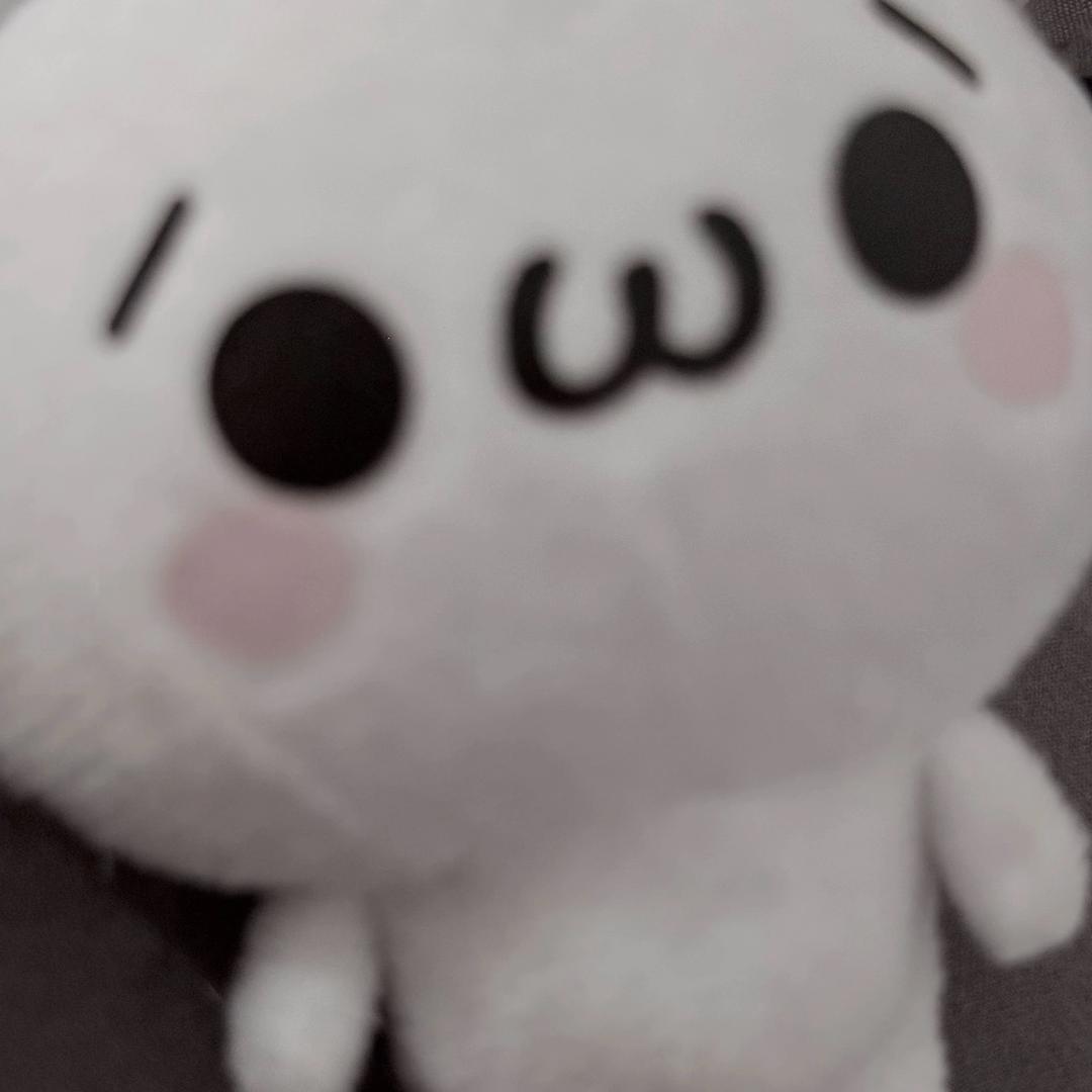 喵了个咪•̀ω•́