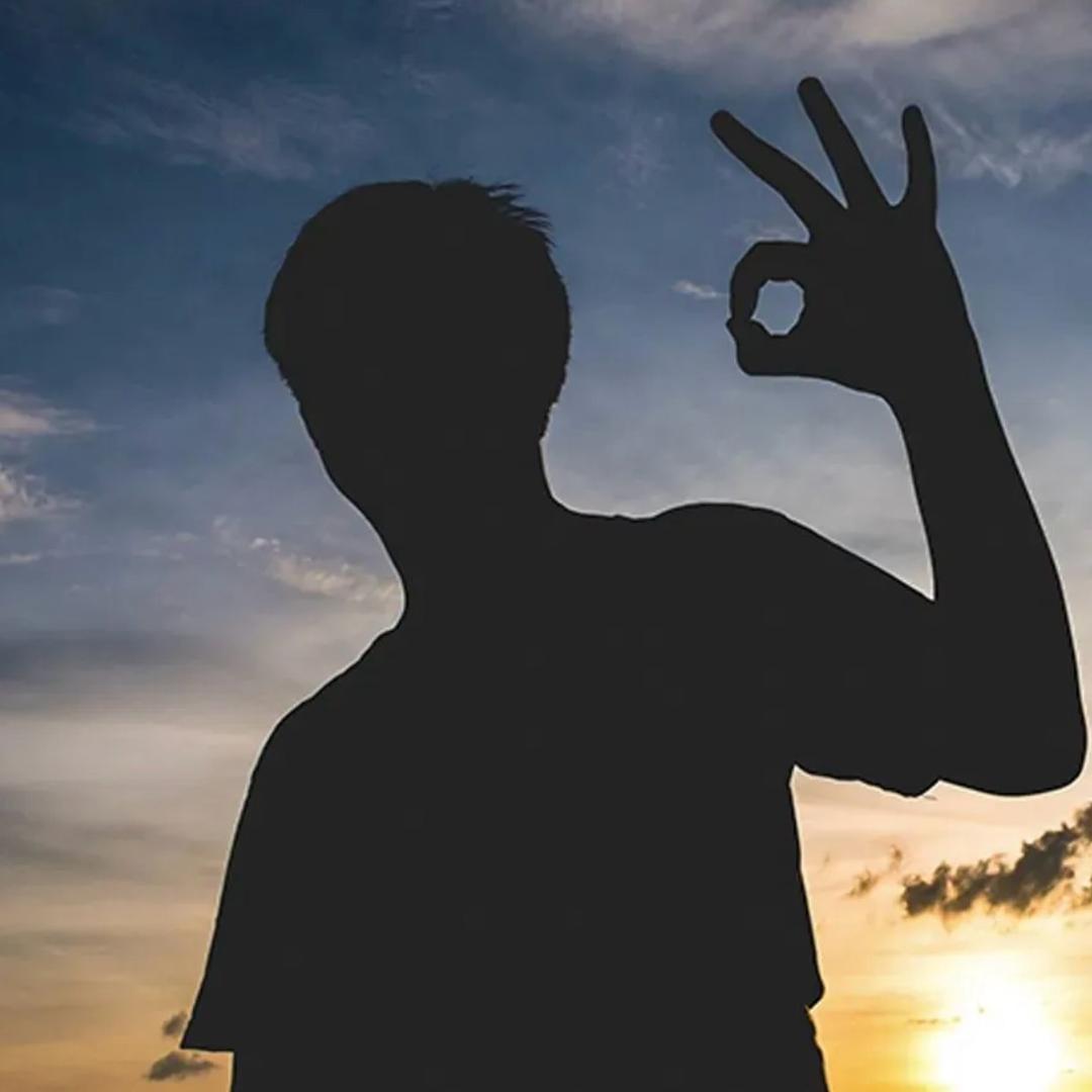 我是年猪不是bbw