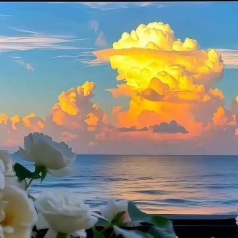 ༼1❤️5❤️2❤️0༽