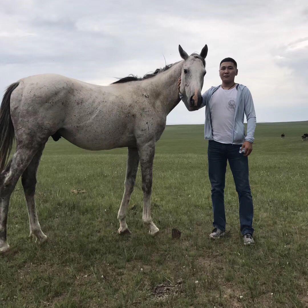 ᠬᠥᠪᠴᠢ  ᠶᠢᠨ ᠭᠣᠪᠢ