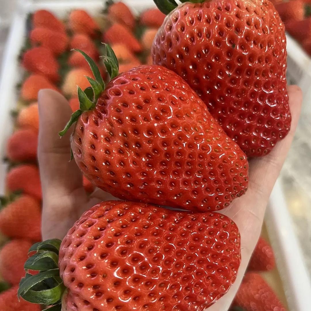 大凉山水果好甜