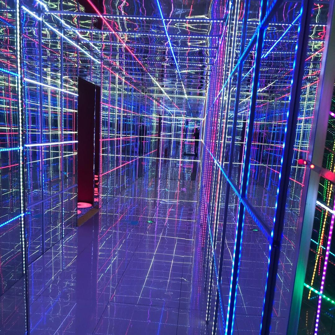 橙子和柠檬